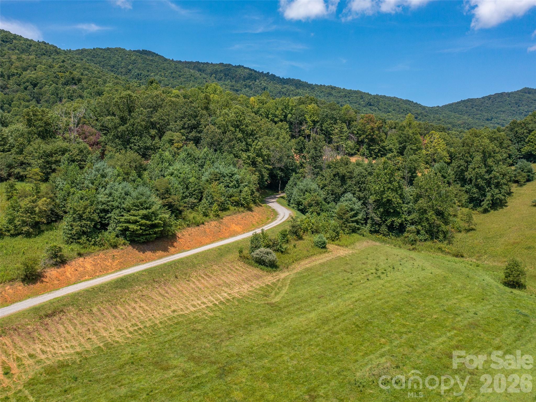 Locust Rough Mountain - Land