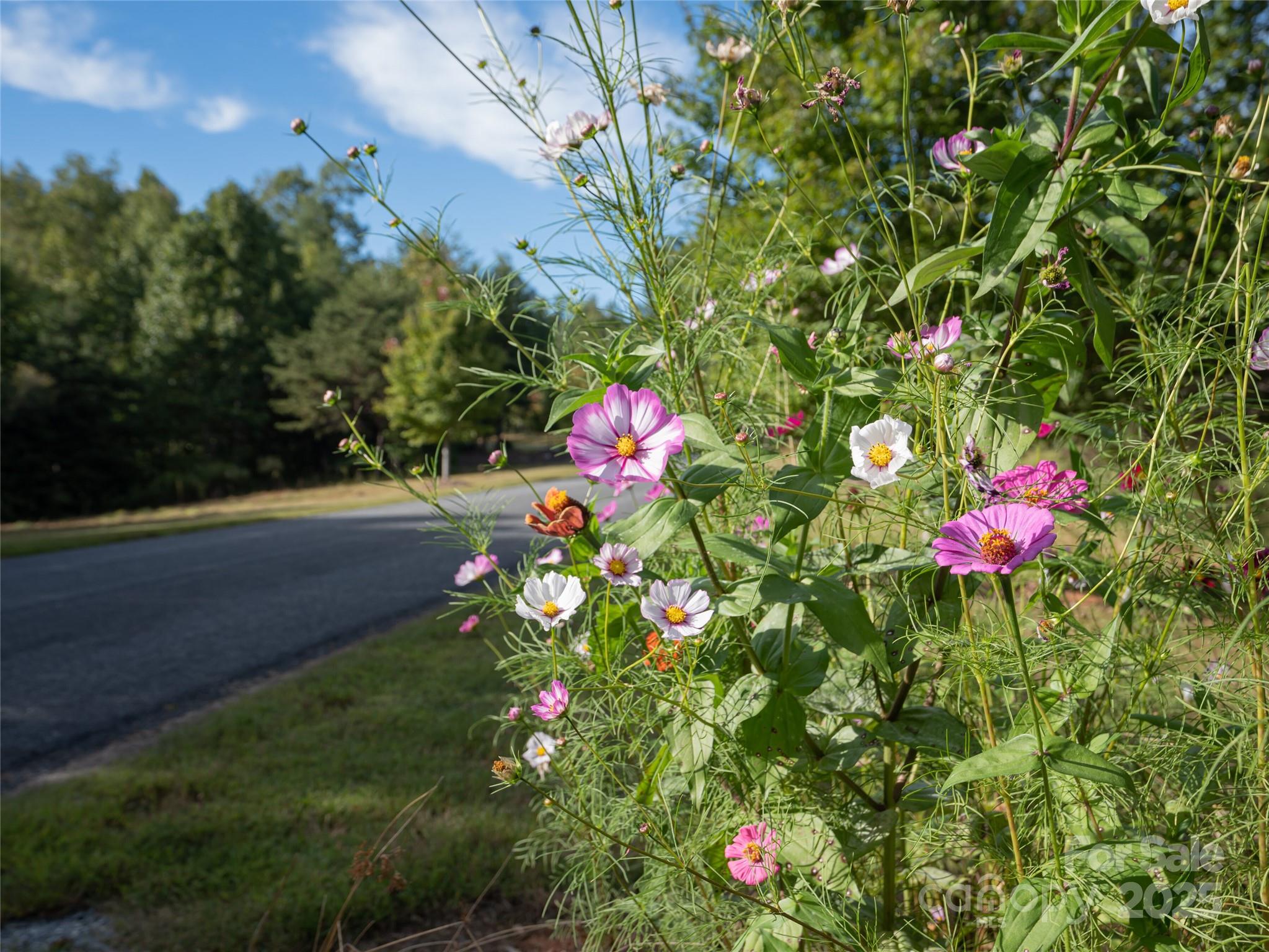 The Arbor at Lake James - Land