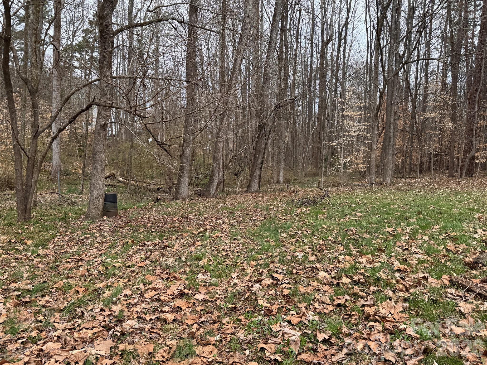 4025 Fringewood Drive