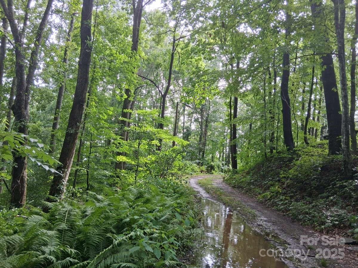 Dream Mountain - Residential