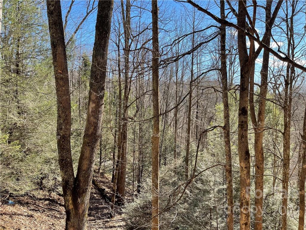 Wolf Laurel - Residential