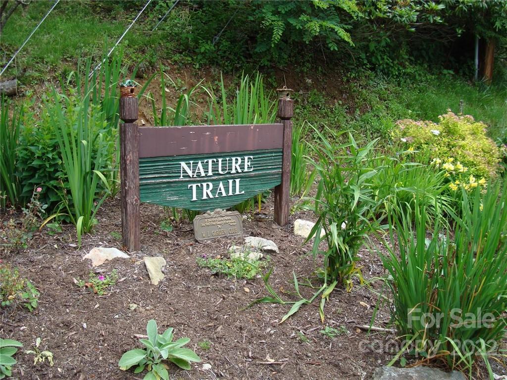 Wolf Laurel - Residential