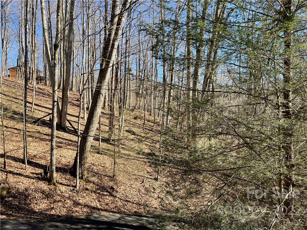 Wolf Laurel - Residential