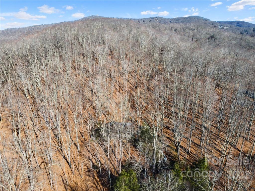 Wolf Laurel - Residential