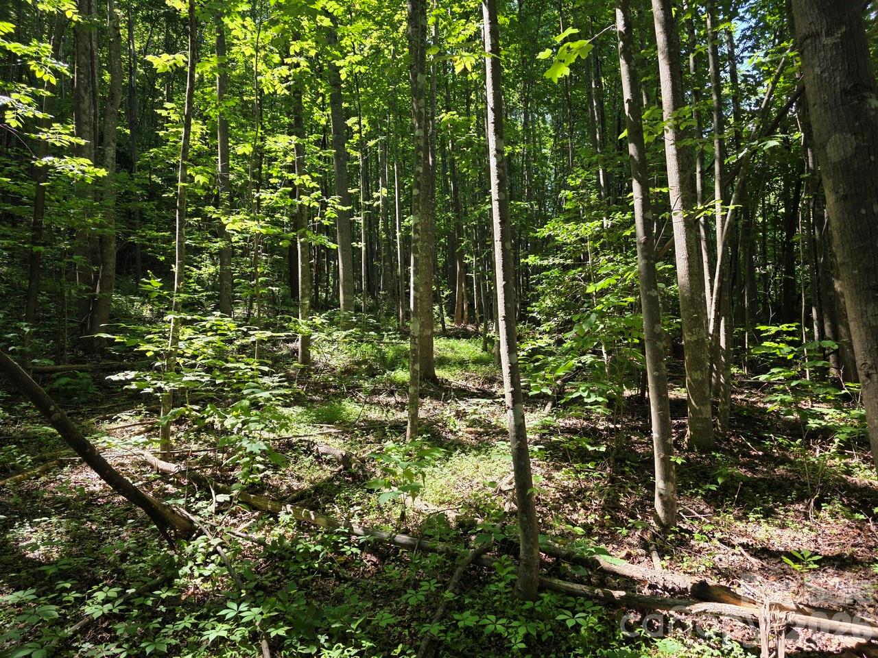 Lot 45 South View Court