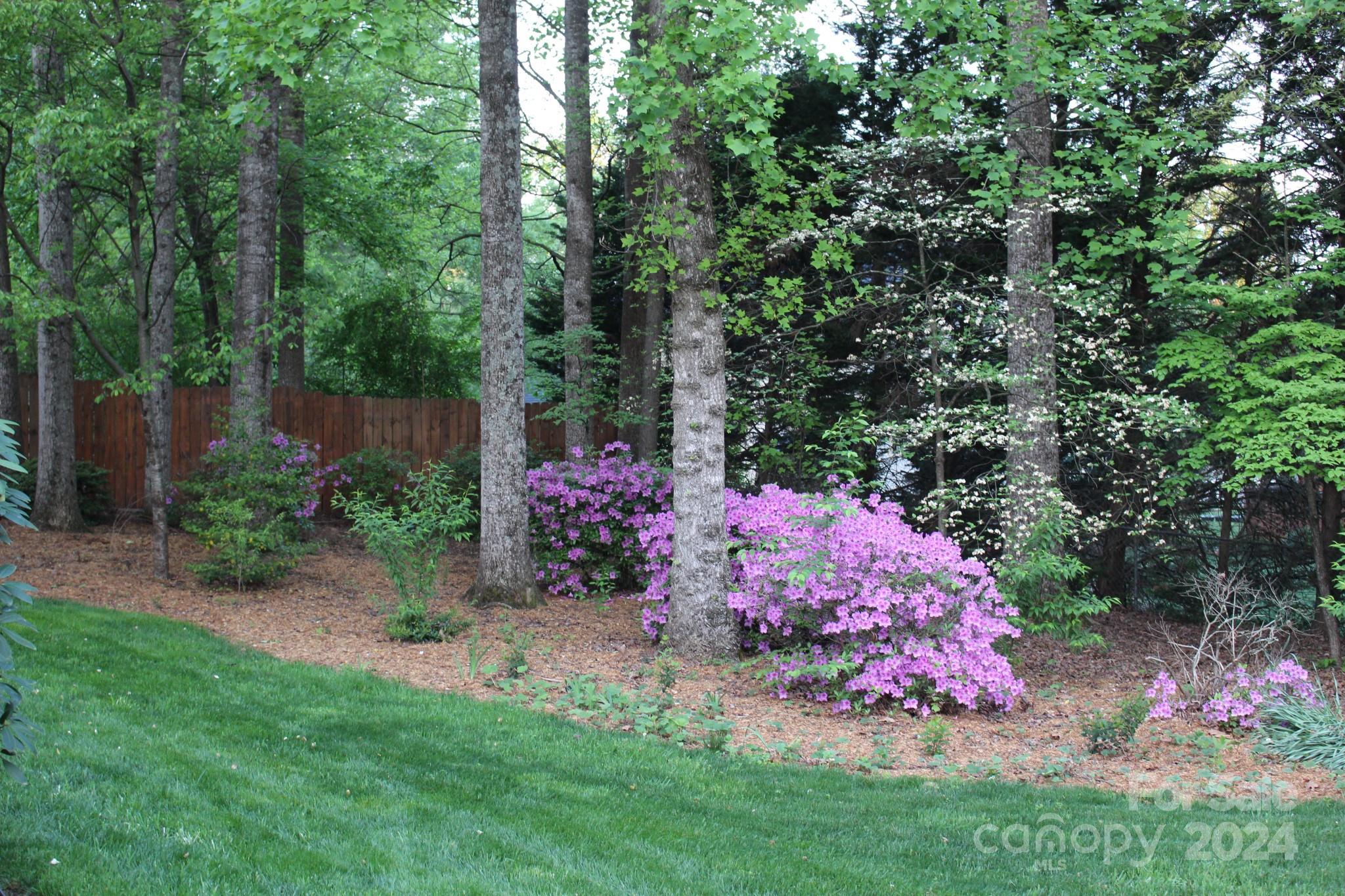 Huntington Forest - Residential