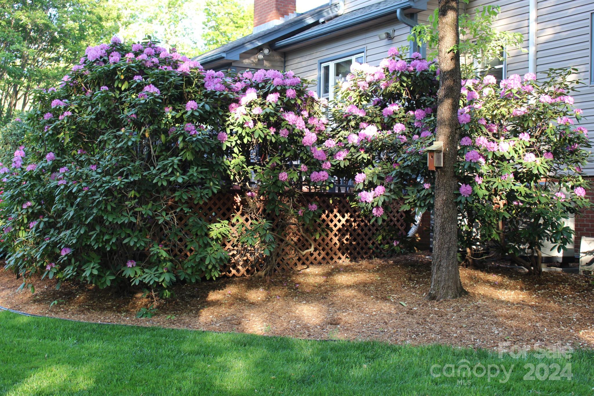 Huntington Forest - Residential