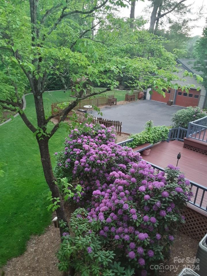 Huntington Forest - Residential