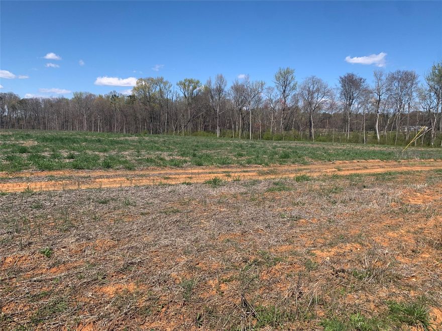 Great opportunity for SF development near Stonebridge golf course. Access from Old Waxhaw Monroe Road and Hwy 75 (Waxhaw Hwy)