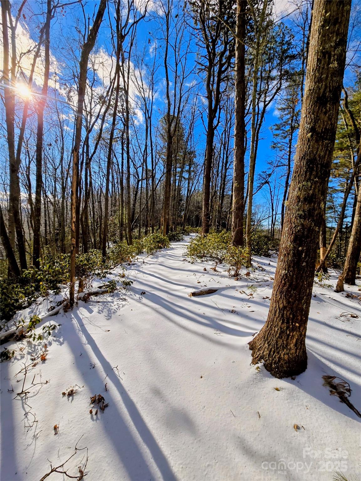 900 Bud Siniard Road