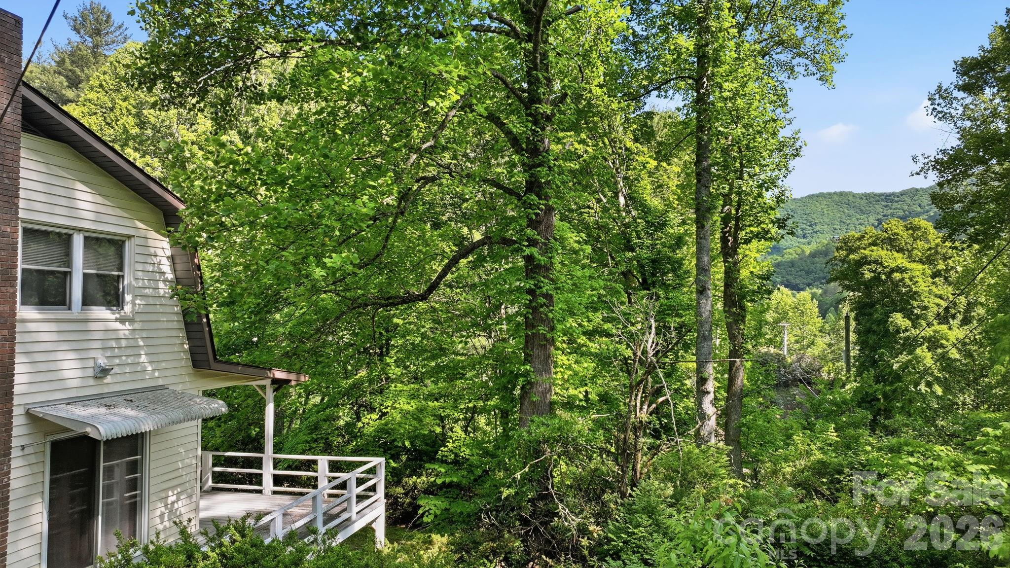 38 Pee Wee Branch Branch