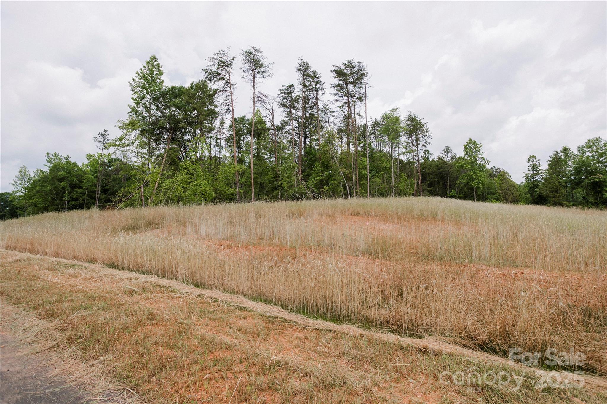 Southern Pine Lake - Land