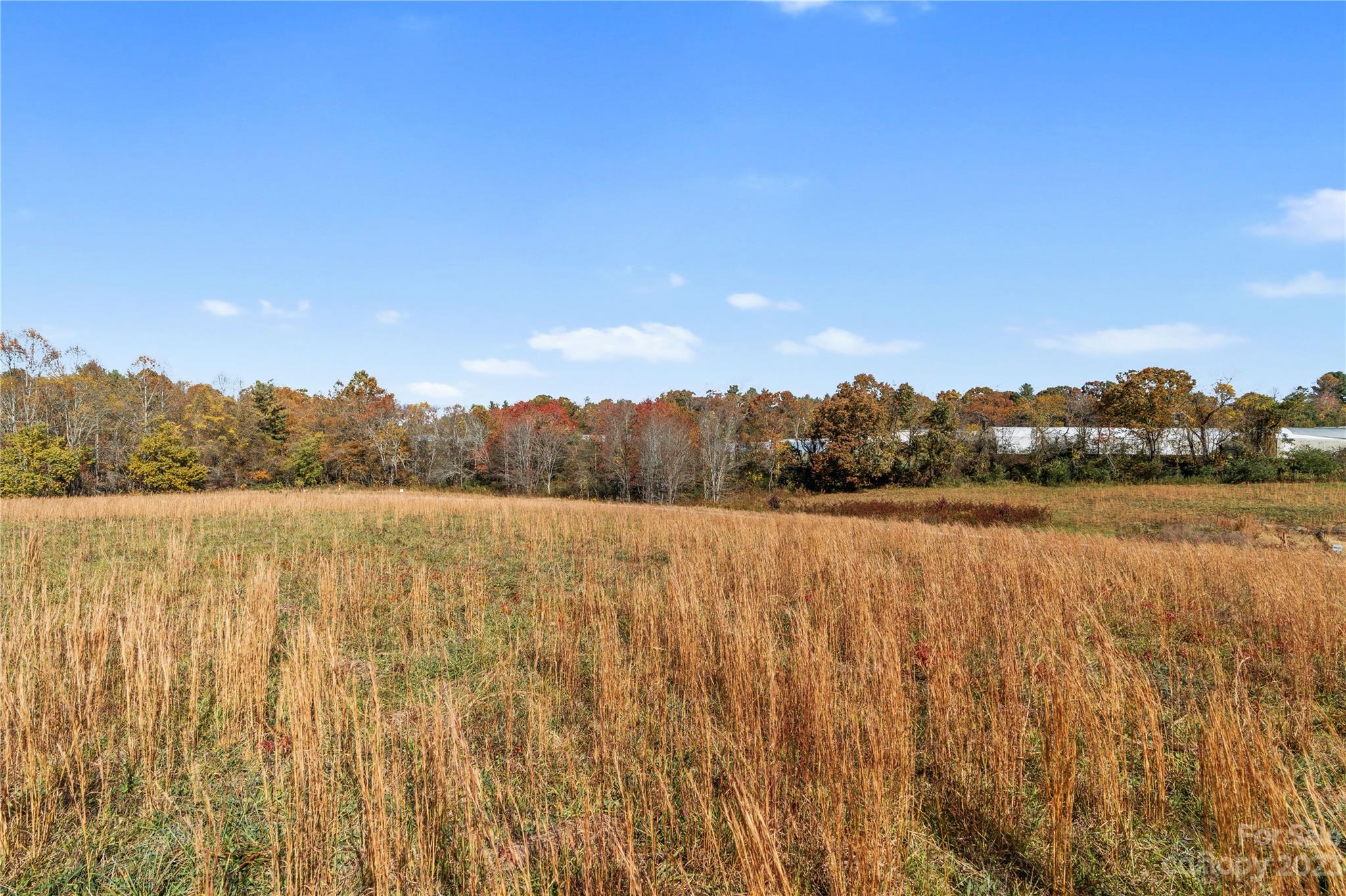 Chambers Trace - Land