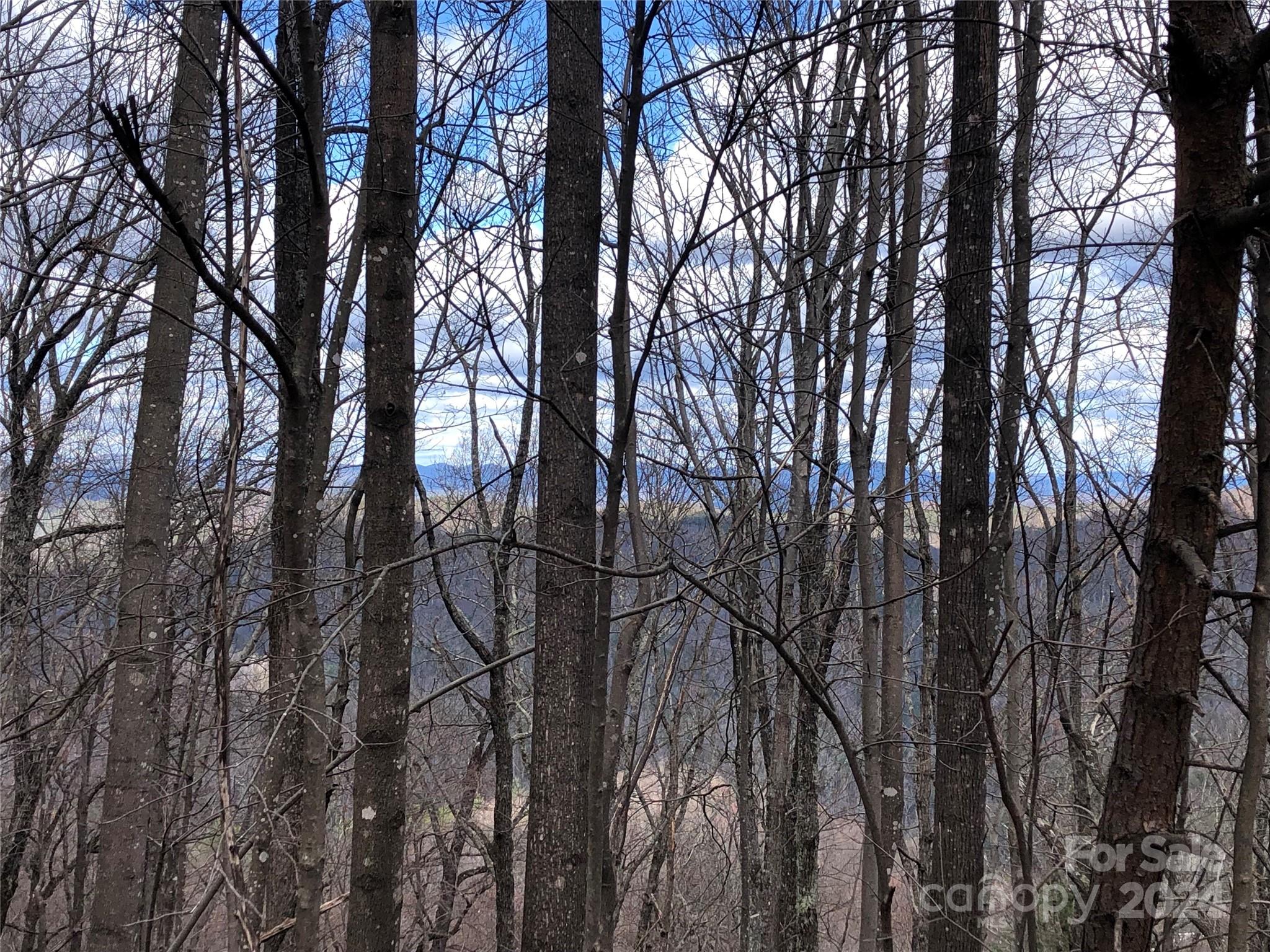 Buck Mountain - Land