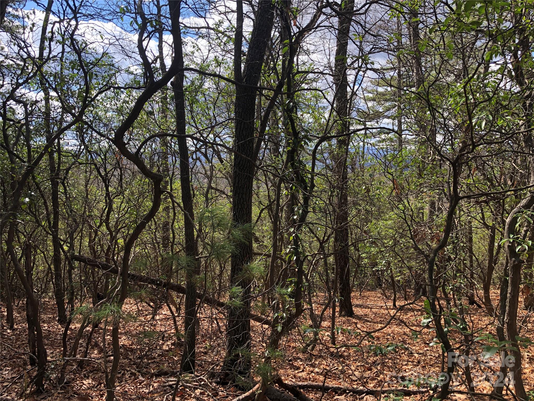 Buck Mountain - Land