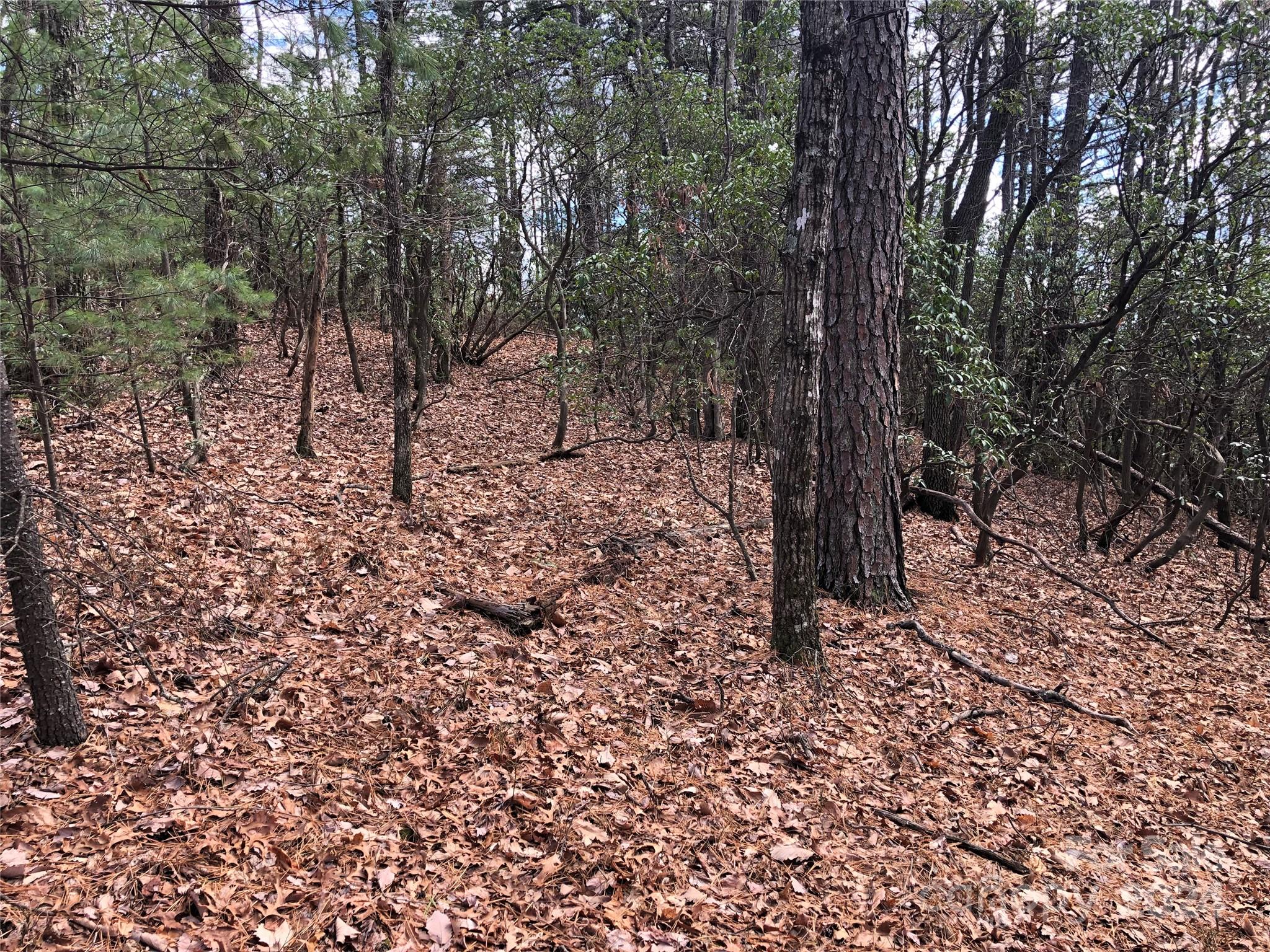 Buck Mountain - Land