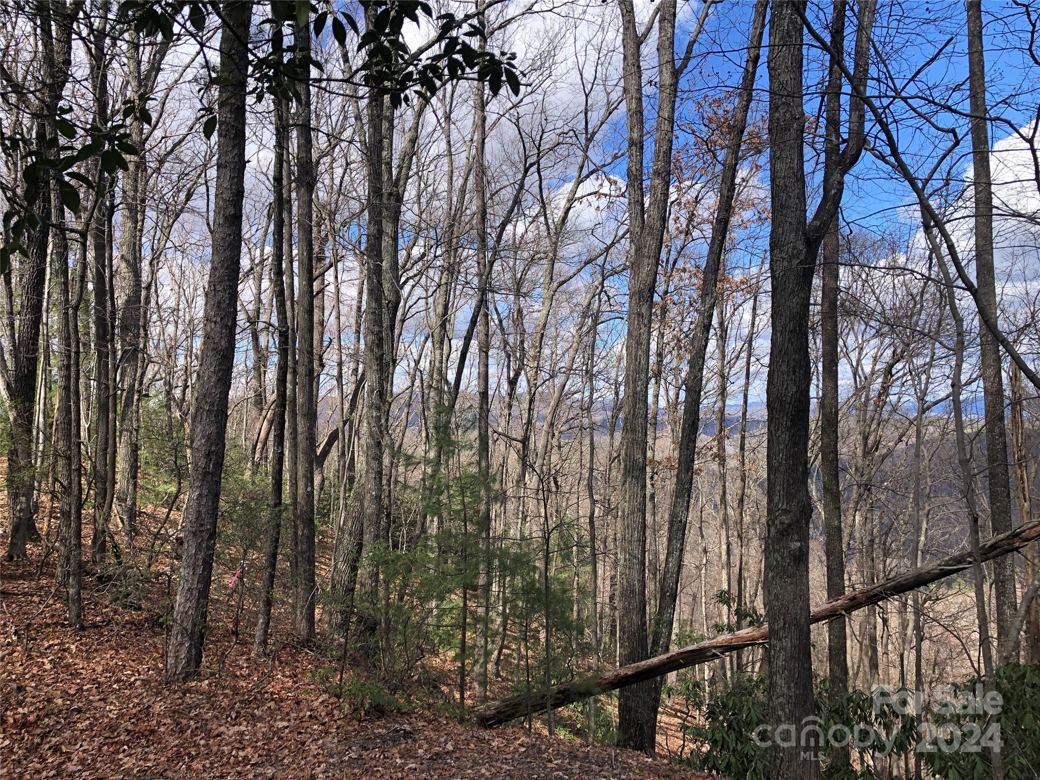 Buck Mountain - Land