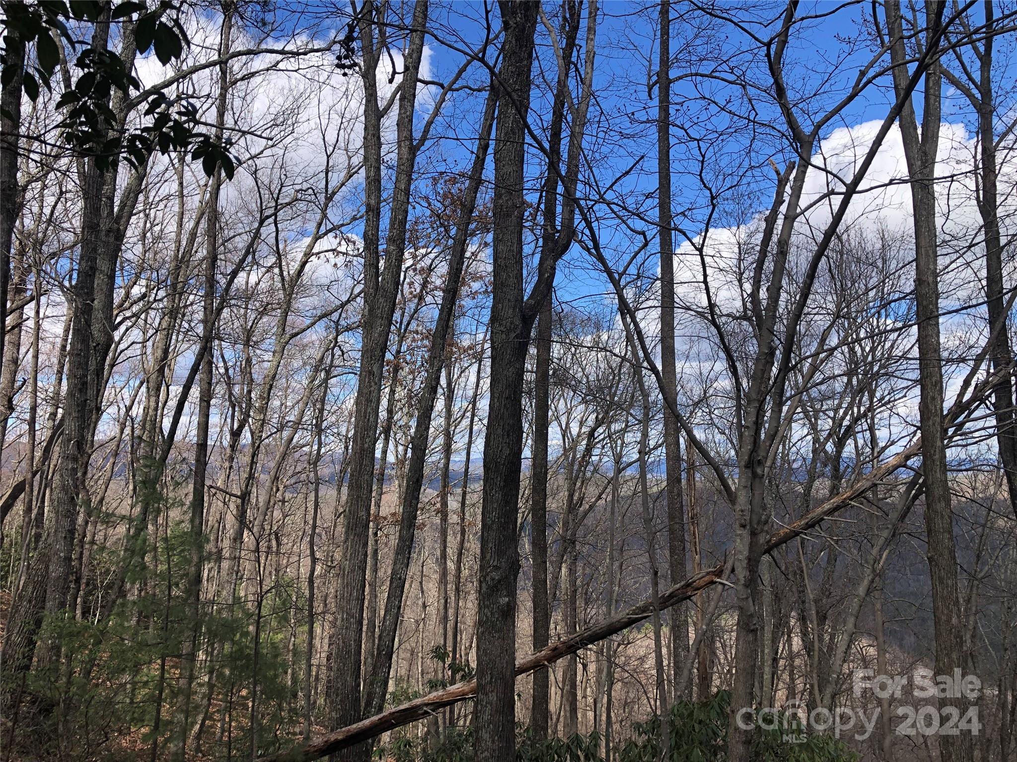 Buck Mountain - Land