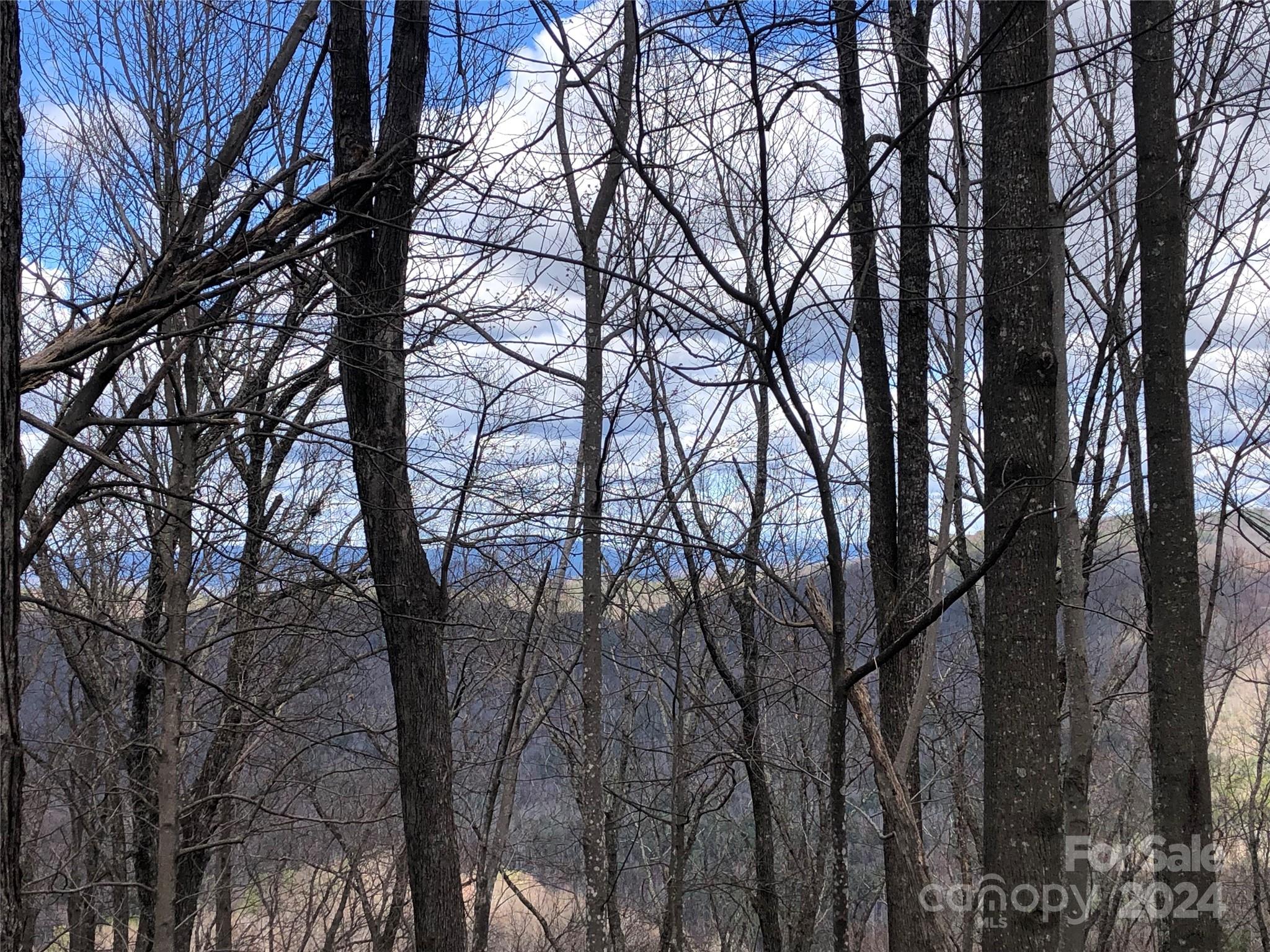 Buck Mountain - Land