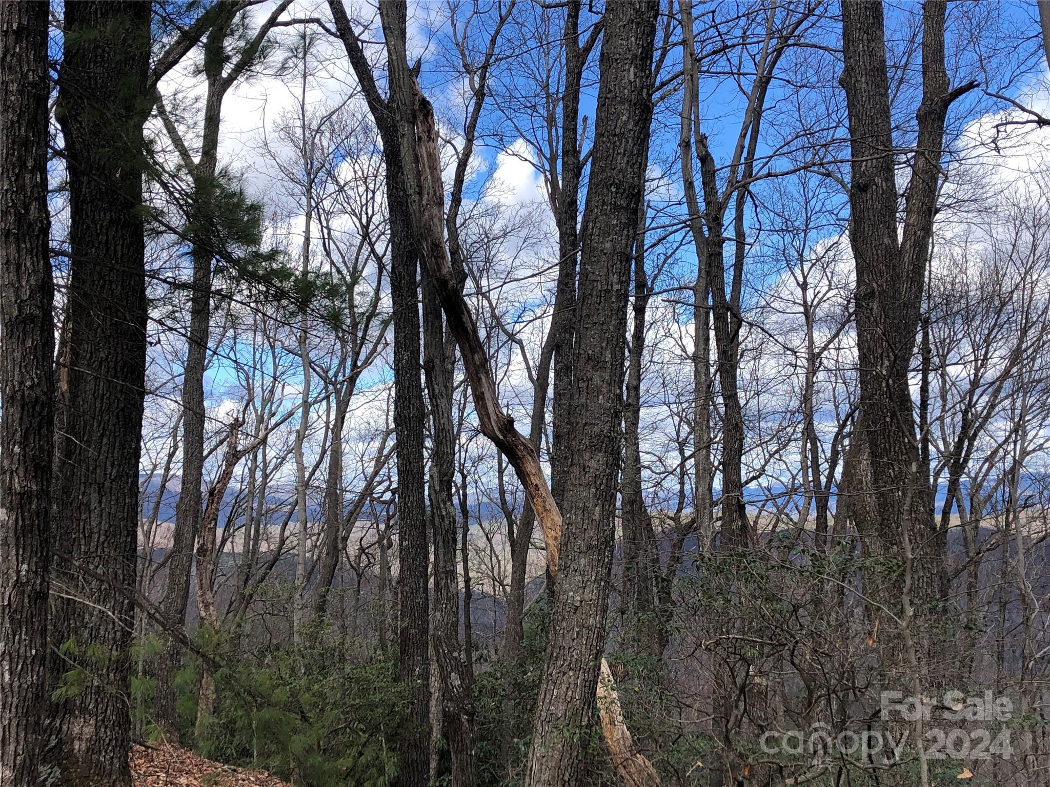 Buck Mountain - Land