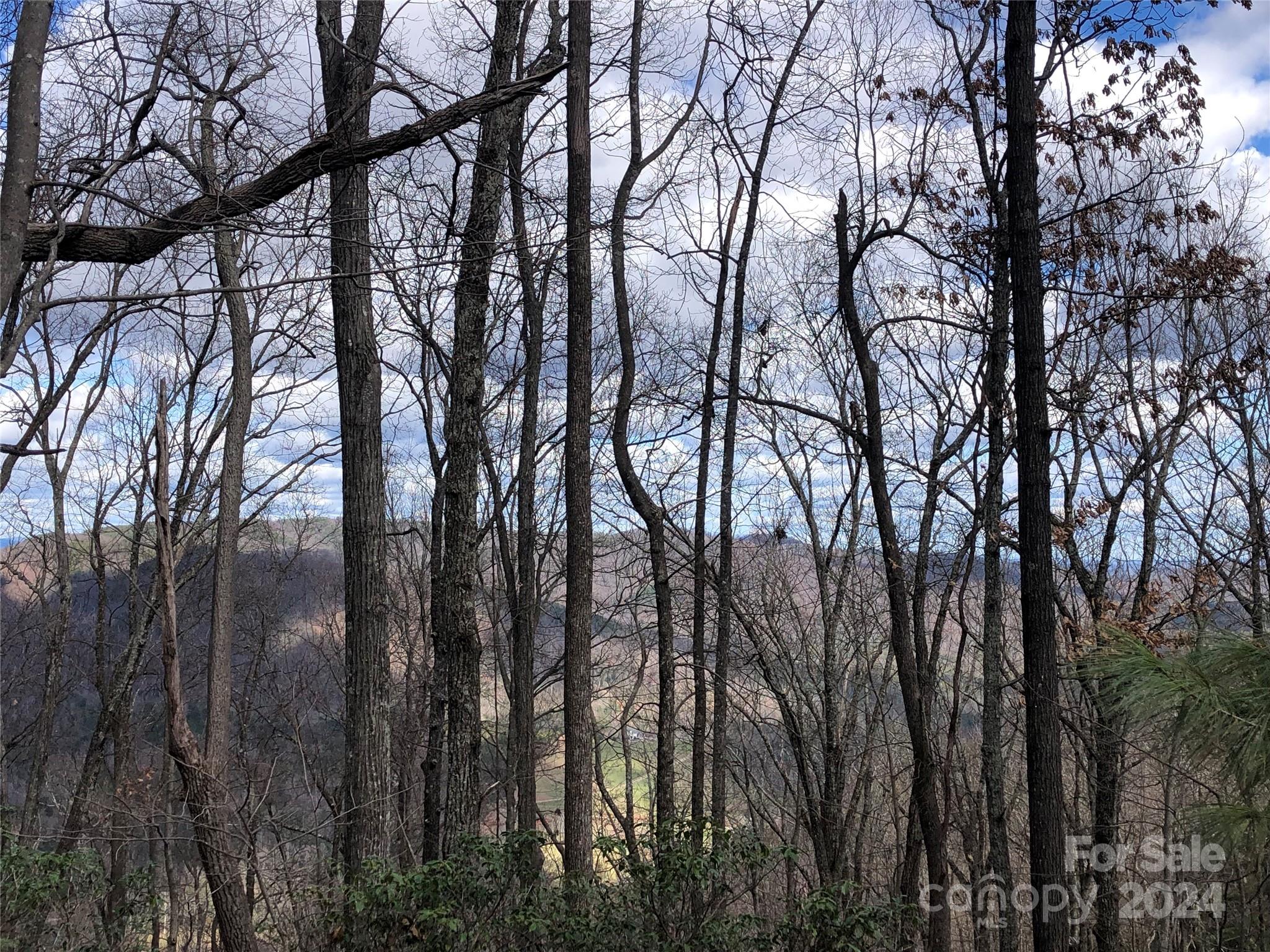 Buck Mountain - Land