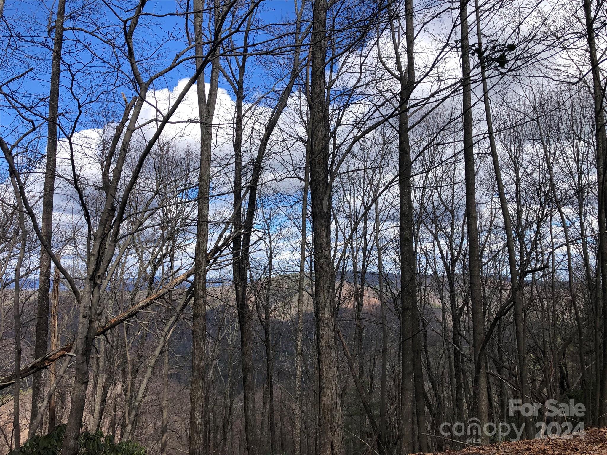 Buck Mountain - Land