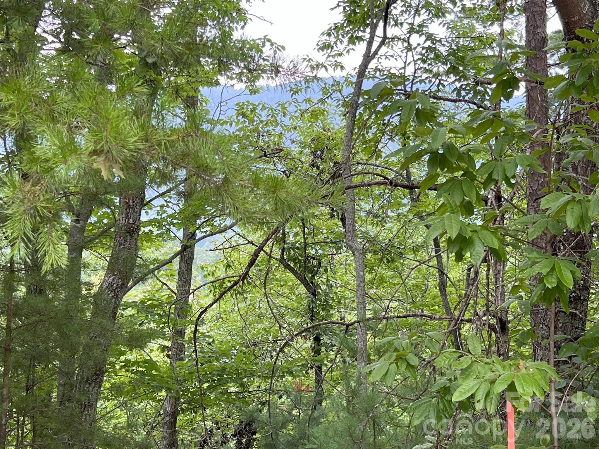 0 Stratford Drive 19