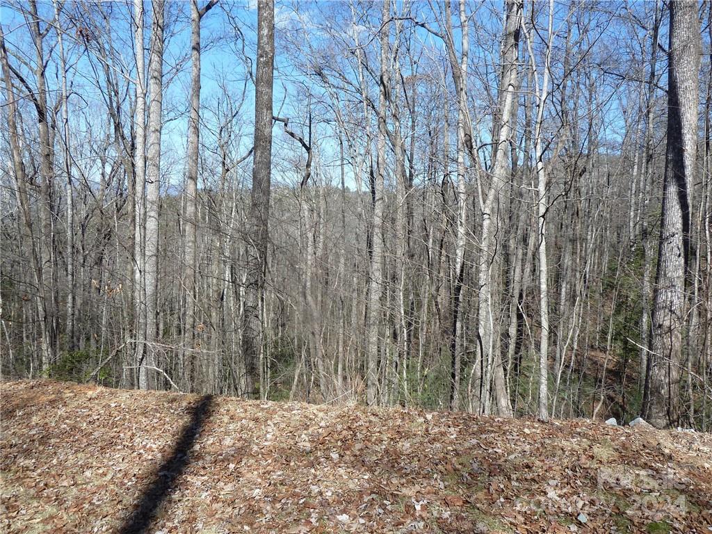 Round Mountain Falls - Land