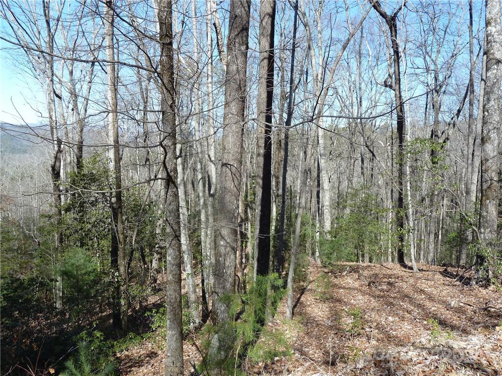 Round Mountain Falls - Land