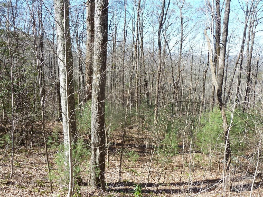 Round Mountain Falls - Land