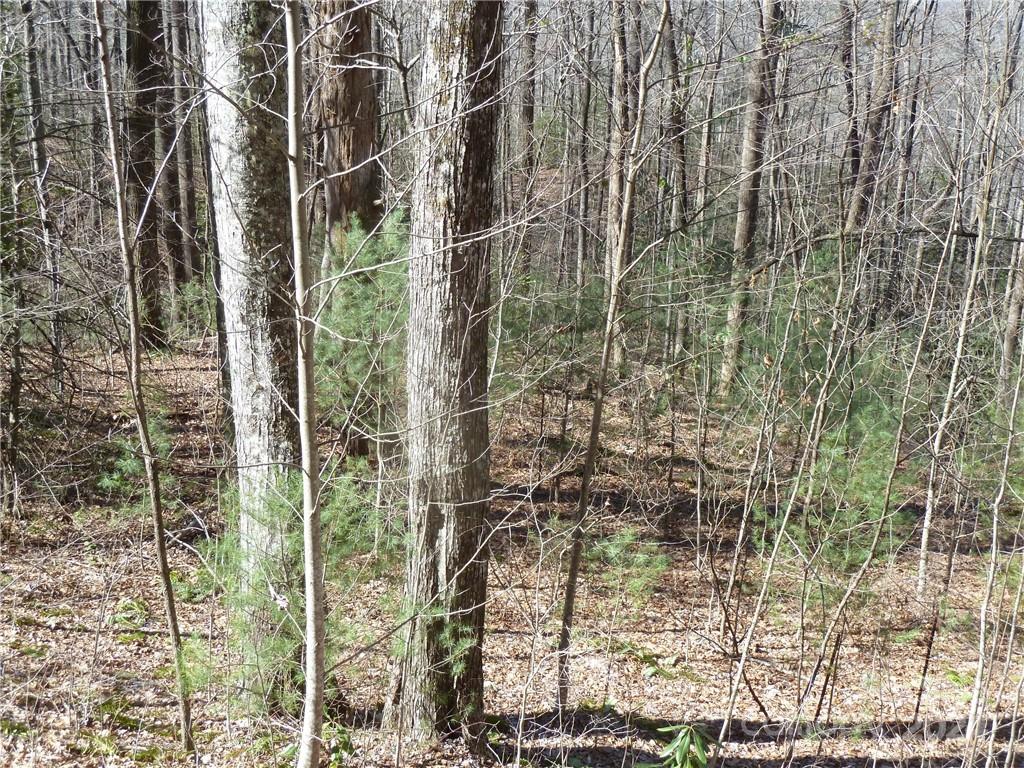 Round Mountain Falls - Land