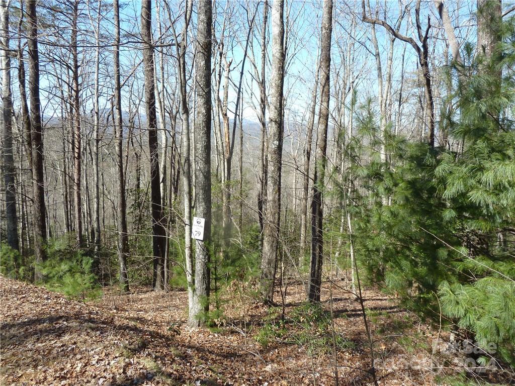 Round Mountain Falls - Land