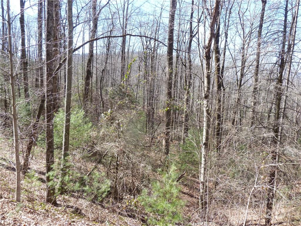 Round Mountain Falls - Land