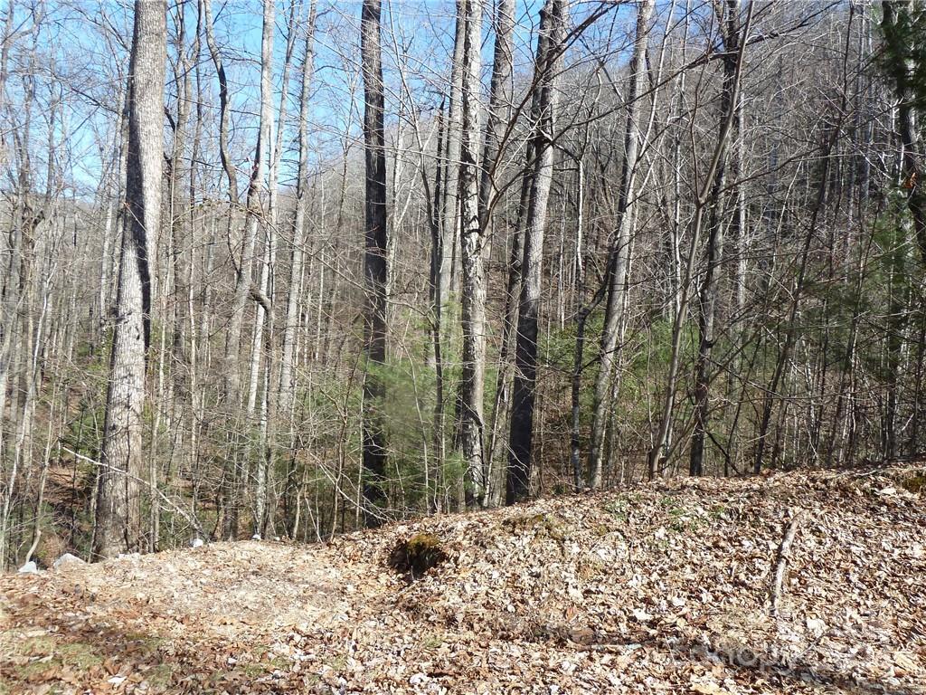 Round Mountain Falls - Land