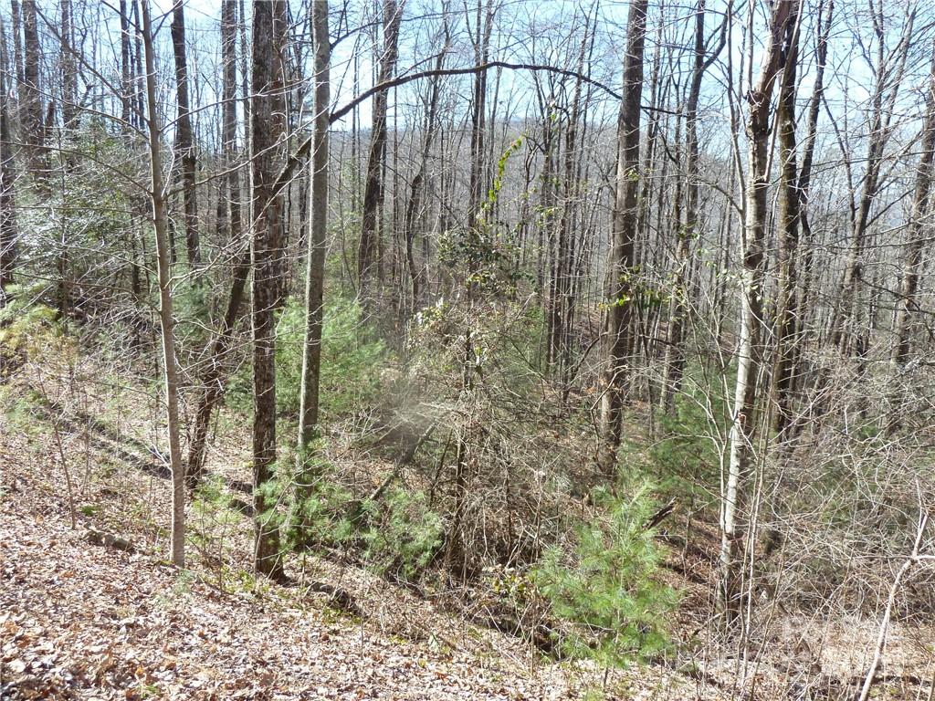 Round Mountain Falls - Land