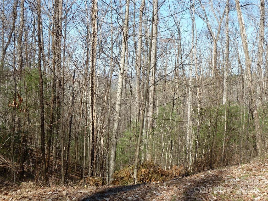 Round Mountain Falls - Land