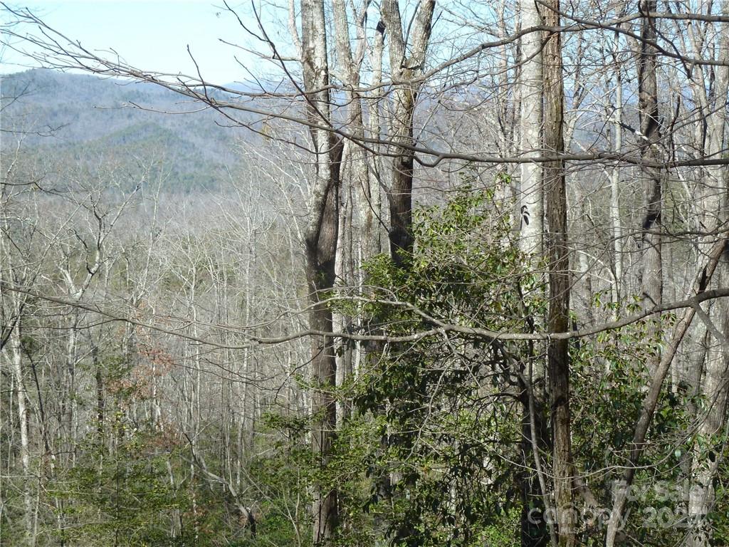 Round Mountain Falls - Land