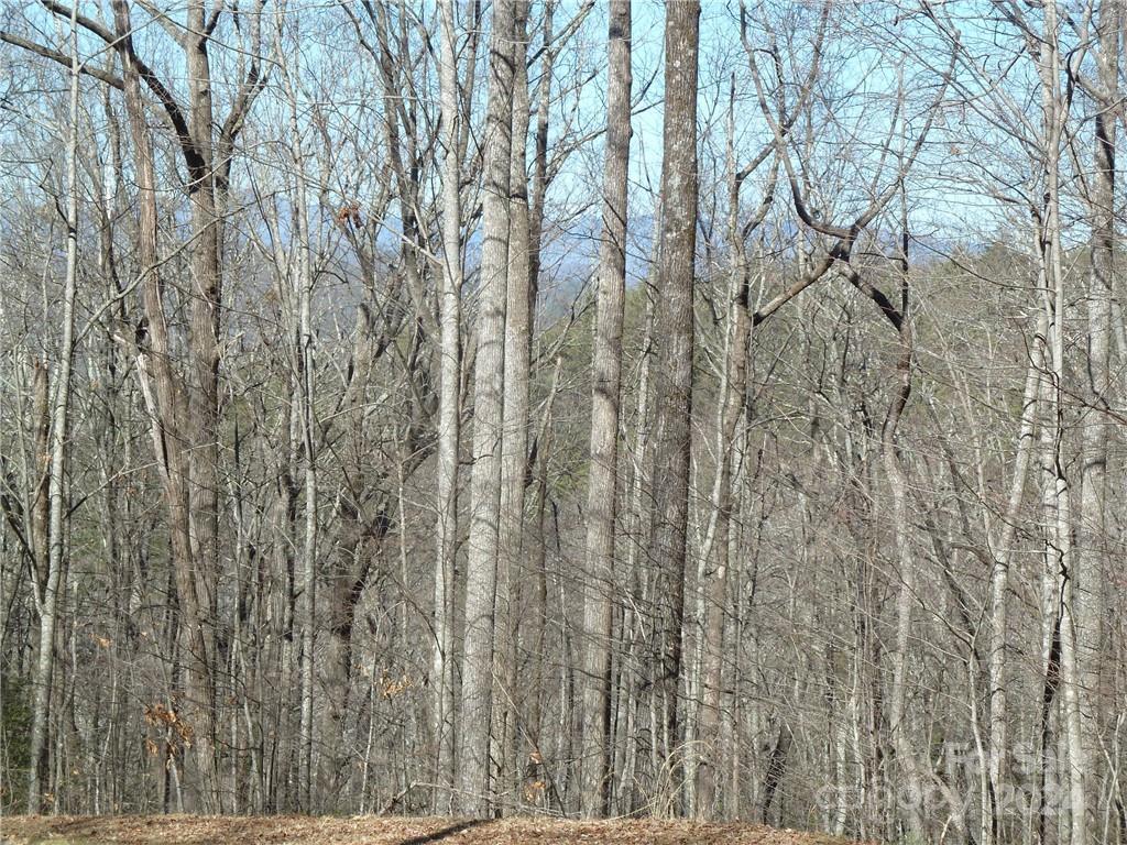 Round Mountain Falls - Land