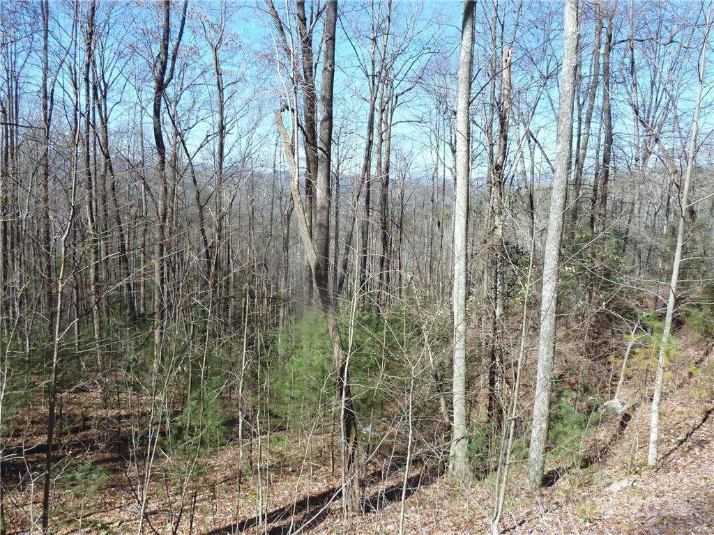 Round Mountain Falls - Land