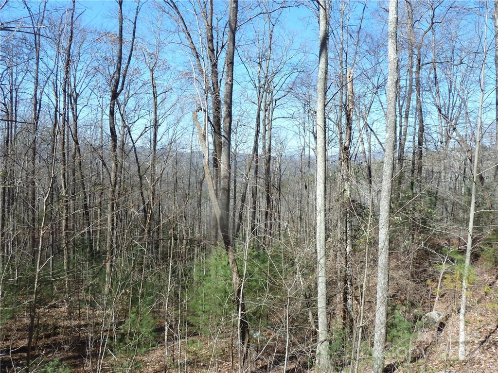 Round Mountain Falls - Land