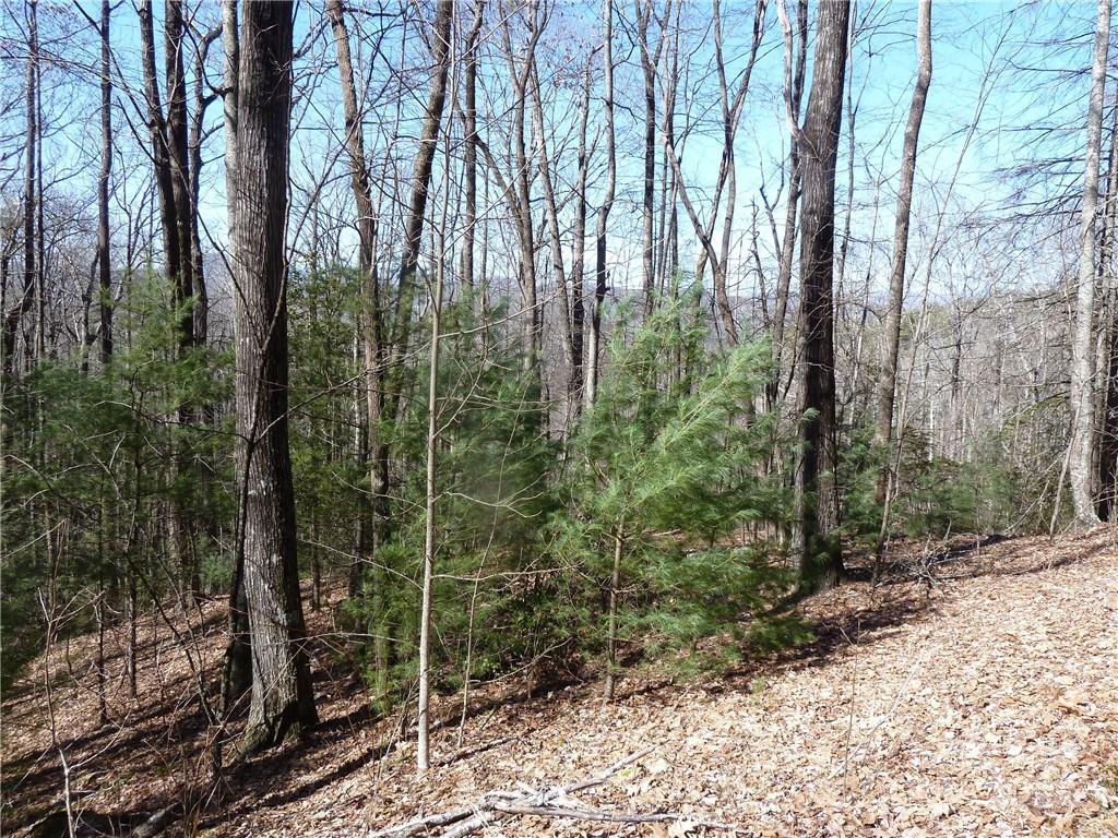 Round Mountain Falls - Land