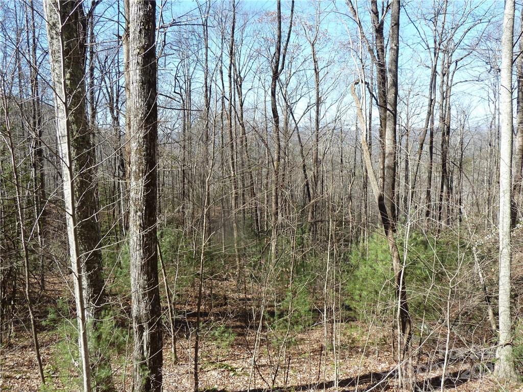 Round Mountain Falls - Land