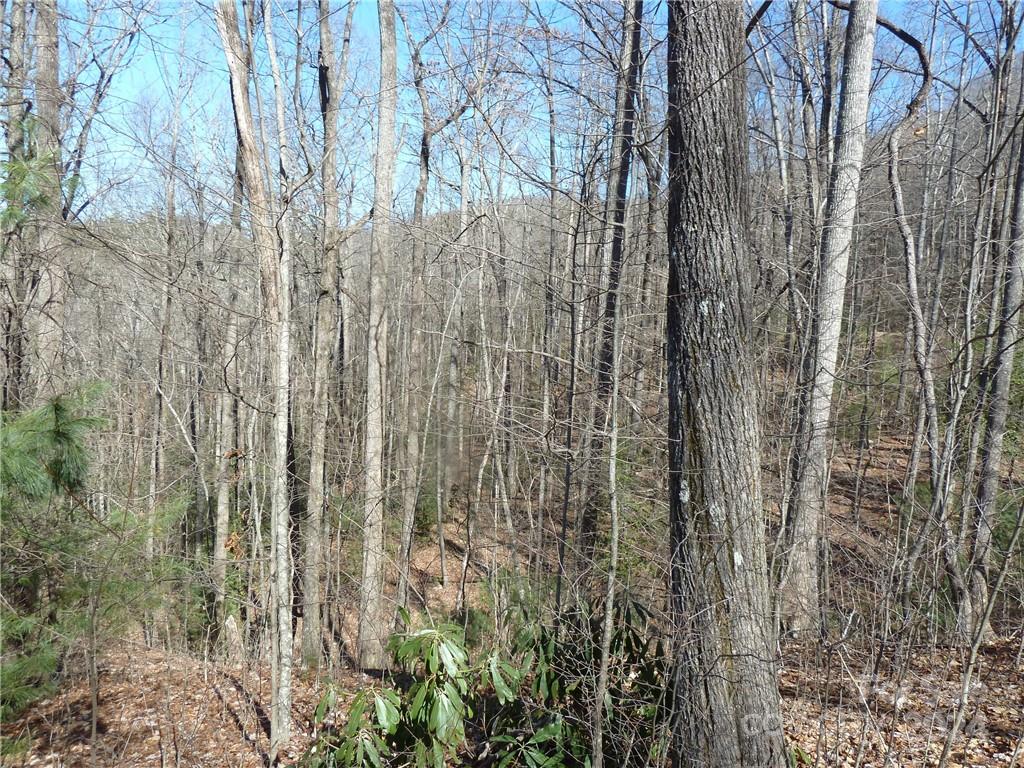 Round Mountain Falls - Land