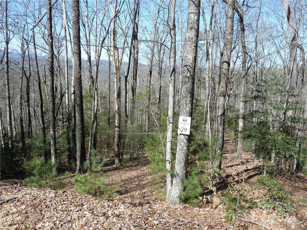 Round Mountain Falls - Land