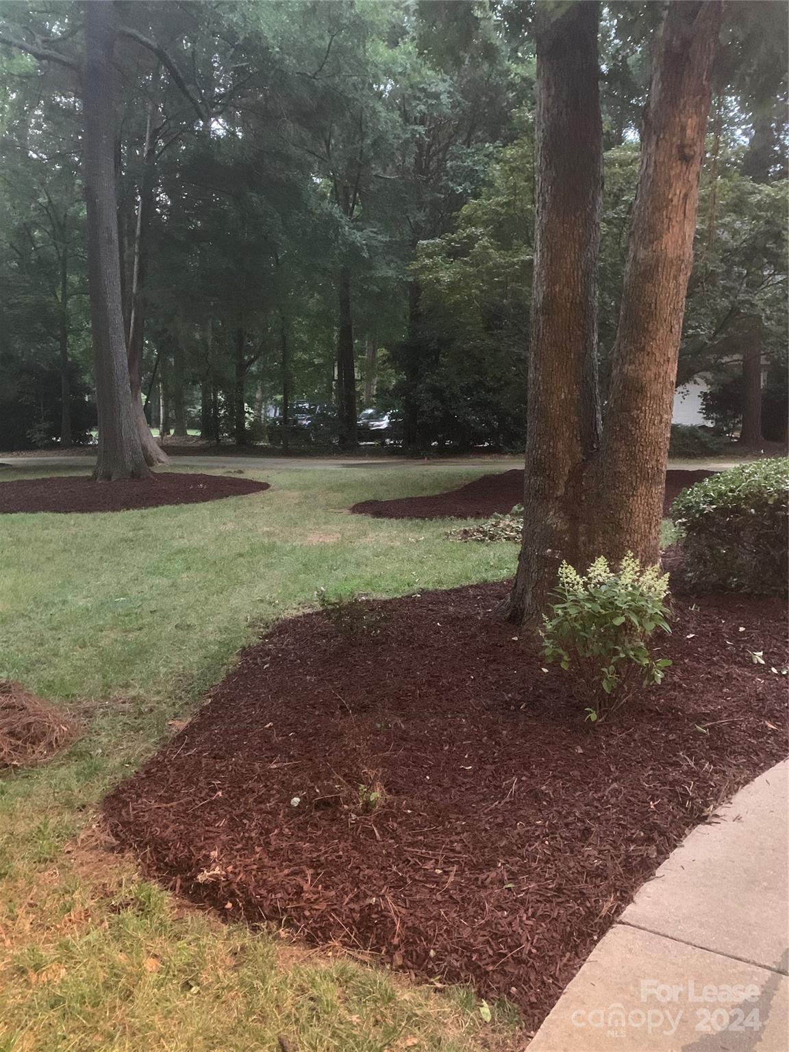 Walden Pond - Residential Lease