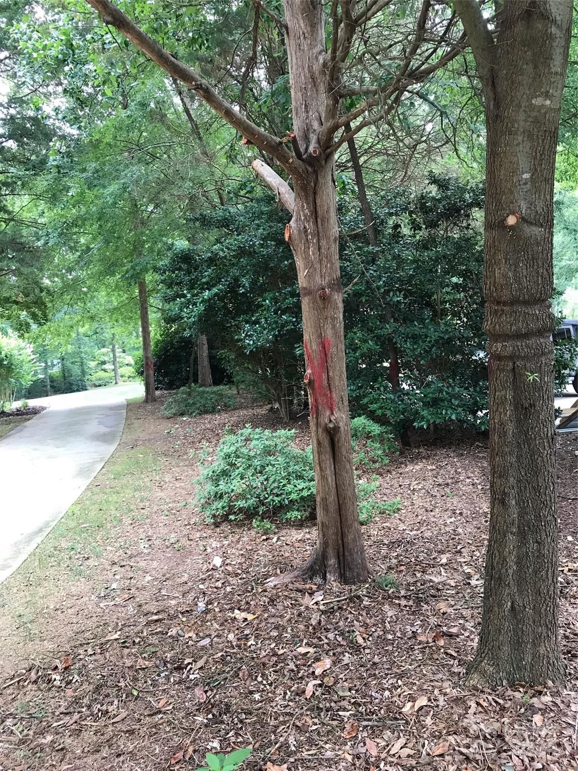 Walden Pond - Residential Lease