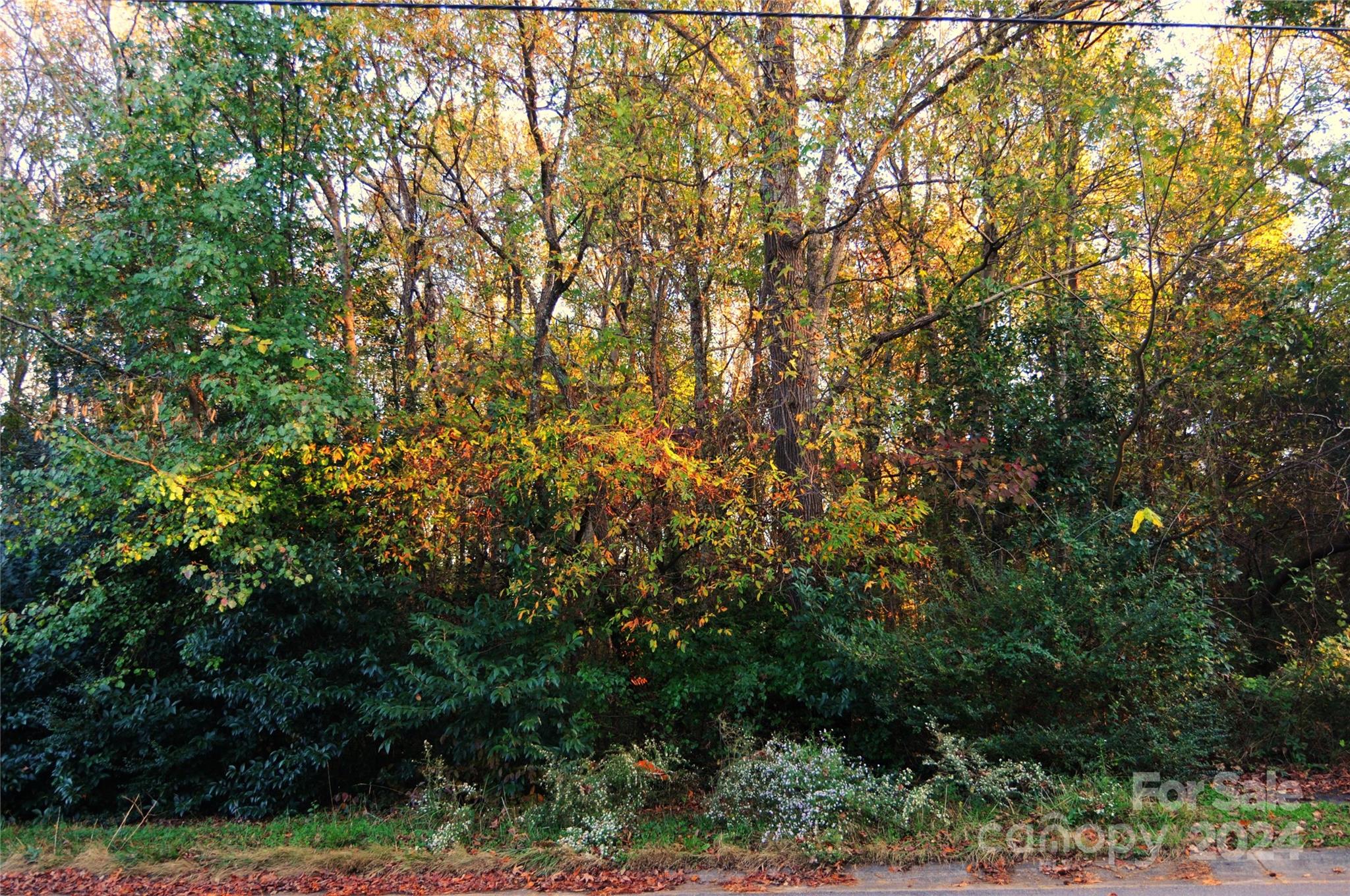 Harrison Park - Land