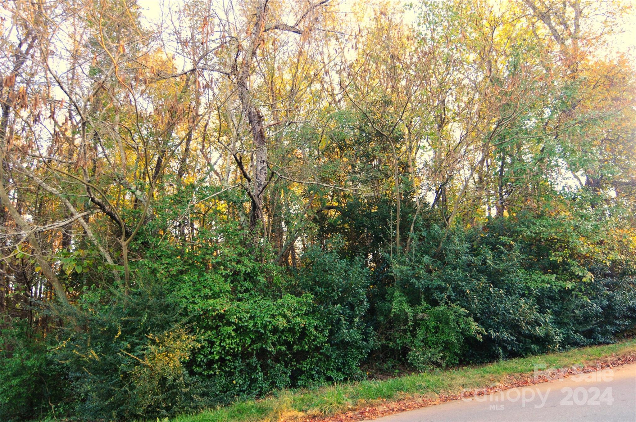 Harrison Park - Land