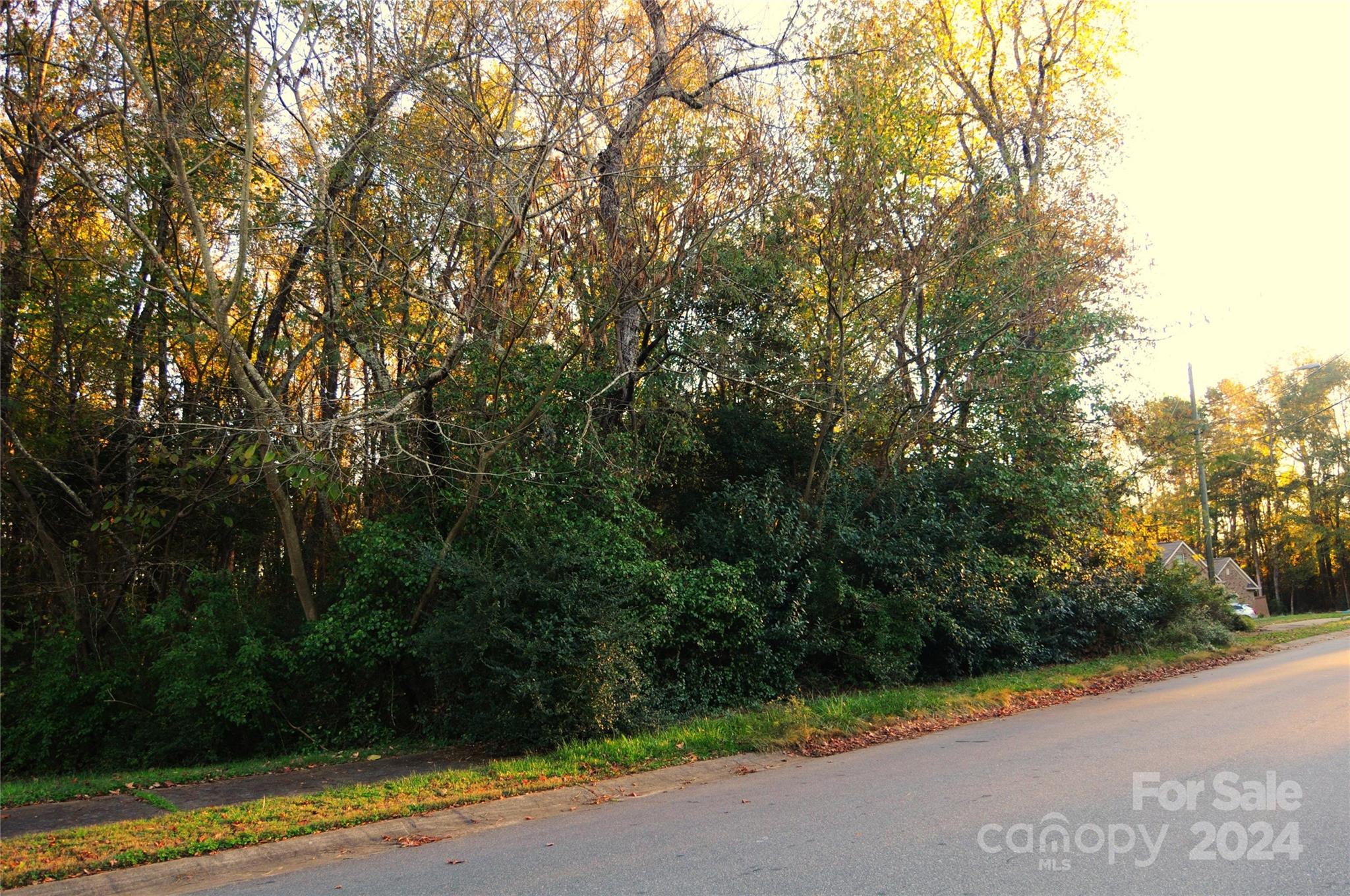 Harrison Park - Land