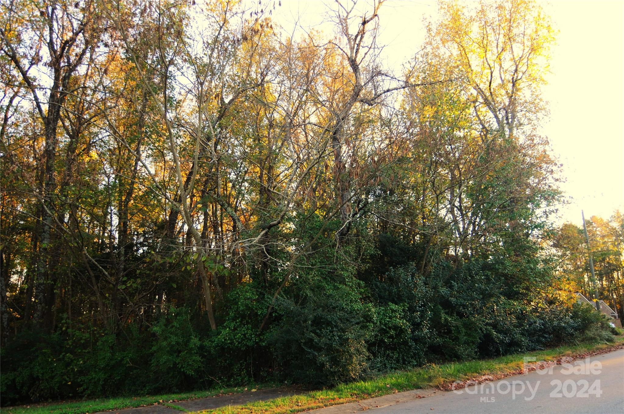 Harrison Park - Land